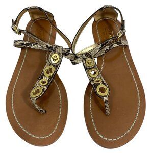 Coach Womens Sienna Snake-Print Leather Sandals Gold Turnlock Size 8.5 B